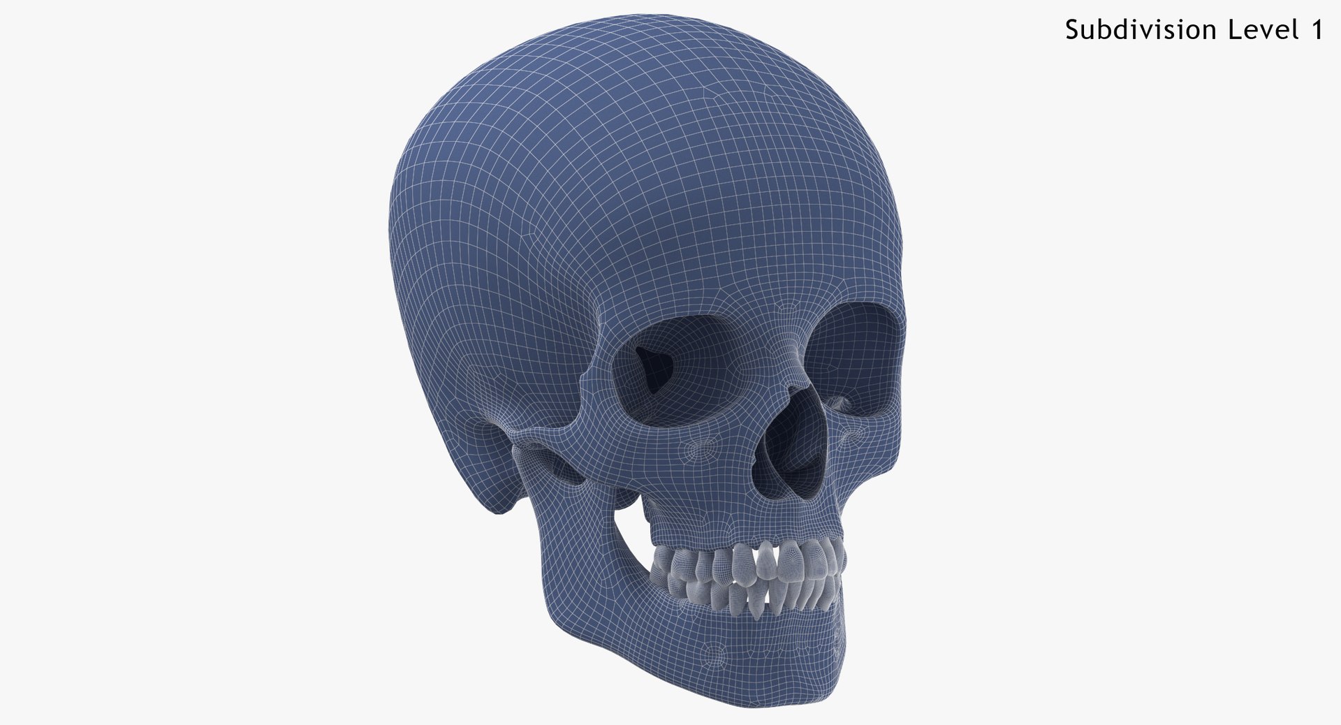 real human woman skull 3D https://p.turbosquid.com/ts-thumb/0Y/eri3aV/UacPrHjW/human_woman_skull_cranial_01_with_teeth_001_wsubdiv1_0001/jpg/1598957306/1920x1080/fit_q87/f0260f1f4ab1839720ead9f3d8fb50c1be896ff7/human_woman_skull_cranial_01_with_teeth_001_wsubdiv1_0001.jpg