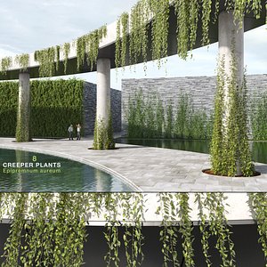 Epipremnum Aureum (+GrowFX)