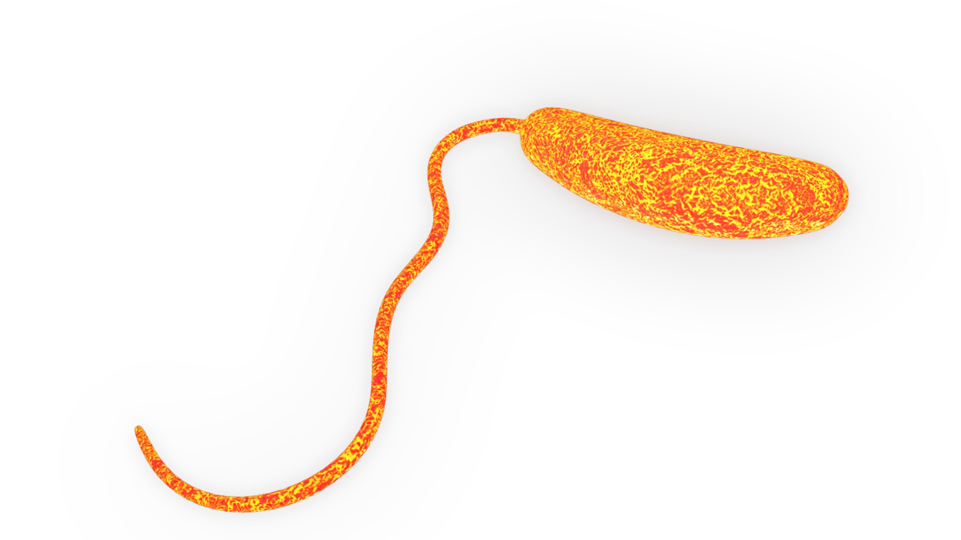 proteus vulgaris 3d obj https://p.turbosquid.com/ts-thumb/0Y/sCsyq6/3AZxUqsO/bacillusvulgaris_05/png/1423990126/1920x1080/fit_q87/6d59666633b4f57dd04ac8b454f620dedae76bdf/bacillusvulgaris_05.jpg