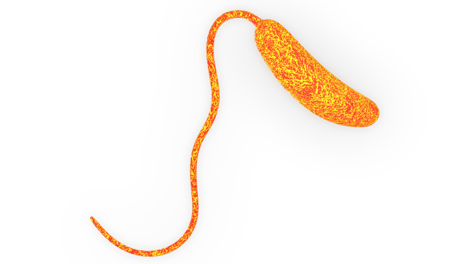 proteus vulgaris 3d obj https://p.turbosquid.com/ts-thumb/0Y/sCsyq6/9jpTN126/bacillusvulgaris_03/png/1423990126/1920x1080/fit_q87/329ce0b795bc7ddfbfdcc96ab29368009c9124b8/bacillusvulgaris_03.jpg