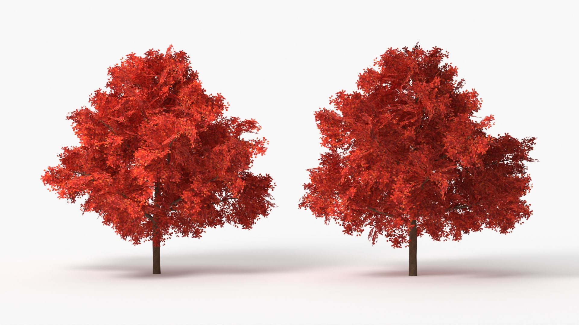 3D model Lowpoly Red Oak Forest Tree https://p.turbosquid.com/ts-thumb/0Y/x9BpDE/92/lowpoly_red_oak_forest_tree_002/jpg/1765924021/1920x1080/fit_q87/f53470d2e6e871f8bcbc309ed744f12d3920d3a5/lowpoly_red_oak_forest_tree_002.jpg