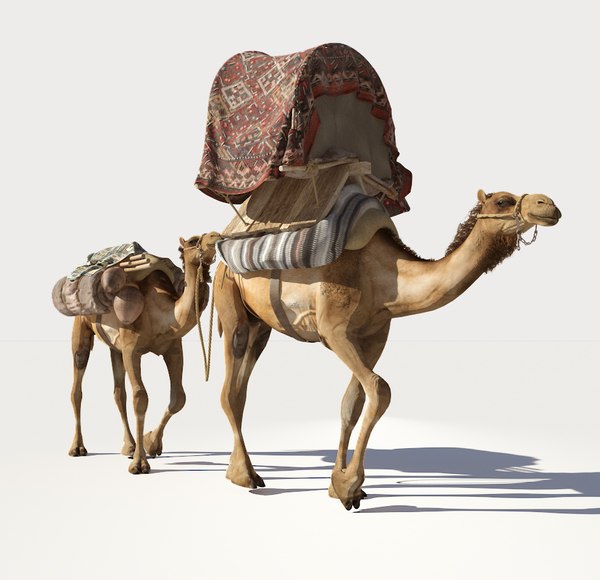 3D camel caravan model