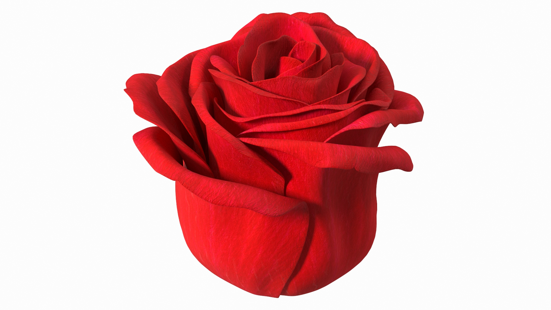 3D Rose Bud Red https://p.turbosquid.com/ts-thumb/0Z/4aef8W/0k/rose_bud_red_360/jpg/1644261657/1920x1080/turn_fit_q99/fa2917b7950963d35634e005e7a09416f4237812/rose_bud_red_360-1.jpg