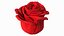 3D Rose Bud Red