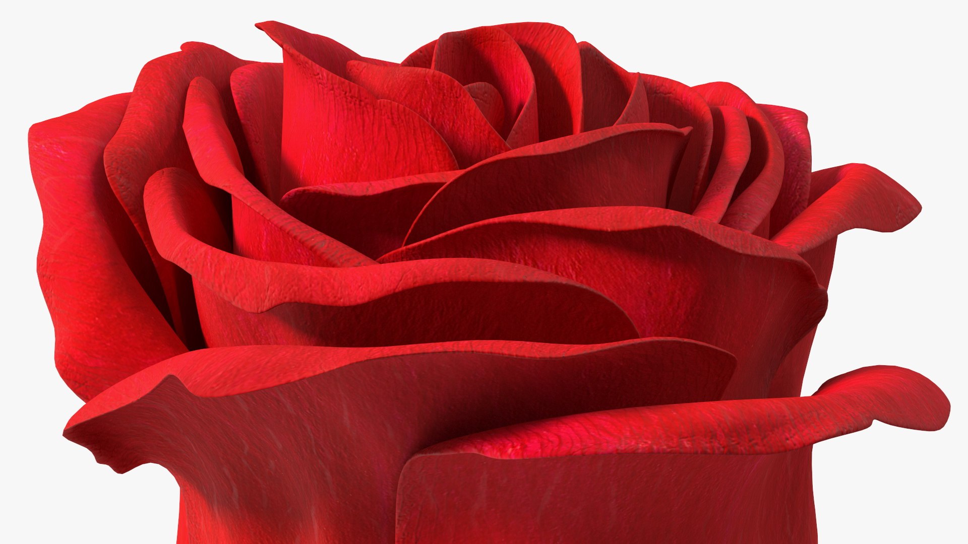 3D Rose Bud Red https://p.turbosquid.com/ts-thumb/0Z/4aef8W/1R/rosebudred3dmodel013/jpg/1644261421/1920x1080/fit_q87/fb47508887a8d83eb52e11425feb7d356ff95fcb/rosebudred3dmodel013.jpg