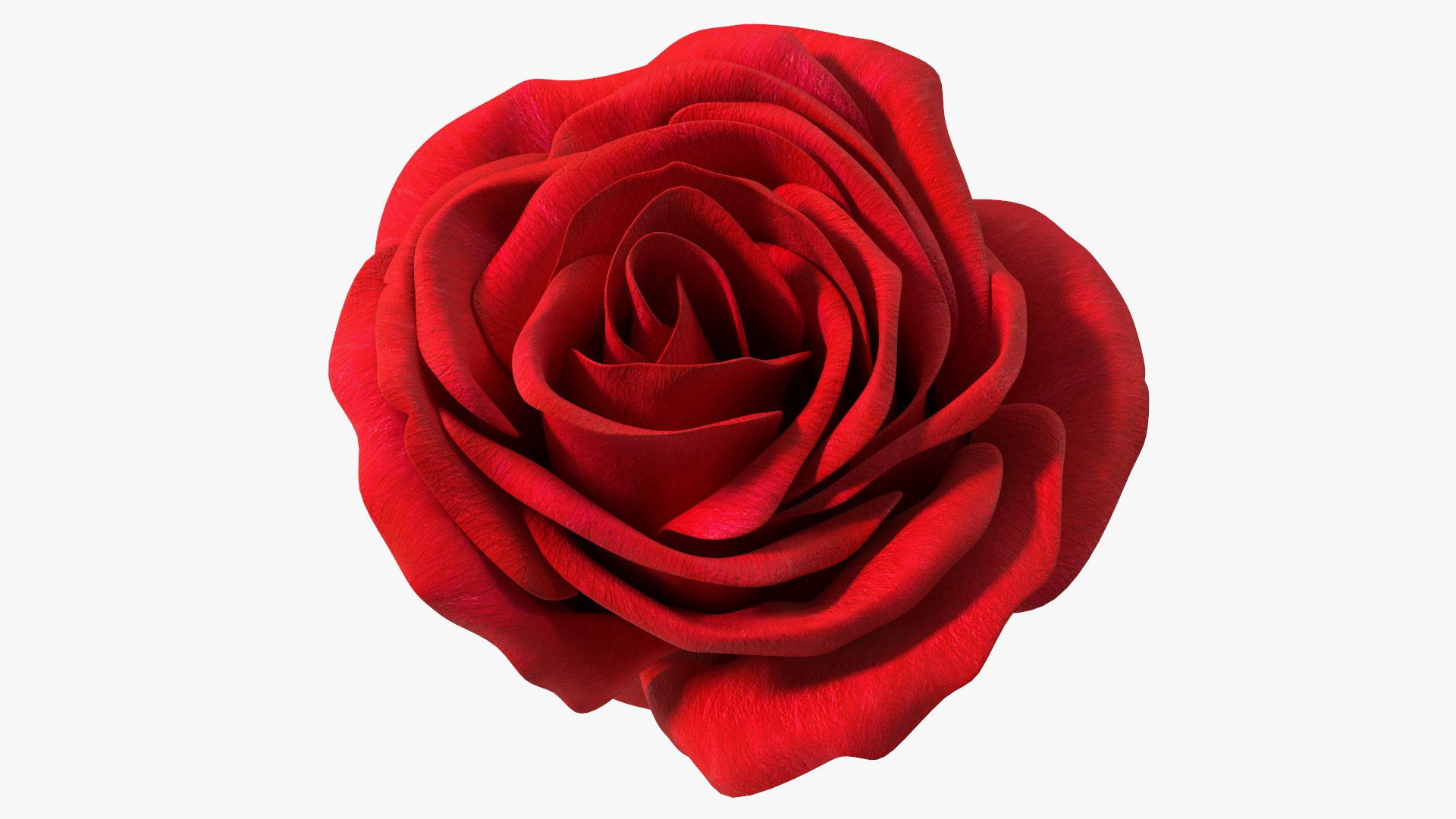 3D Rose Bud Red https://p.turbosquid.com/ts-thumb/0Z/4aef8W/9i/rosebudred3dmodel010/jpg/1644261413/1920x1080/fit_q87/736d0975307f4da14cf9ef9c1d7bb5ad0b20e3b4/rosebudred3dmodel010.jpg