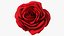 3D Rose Bud Red