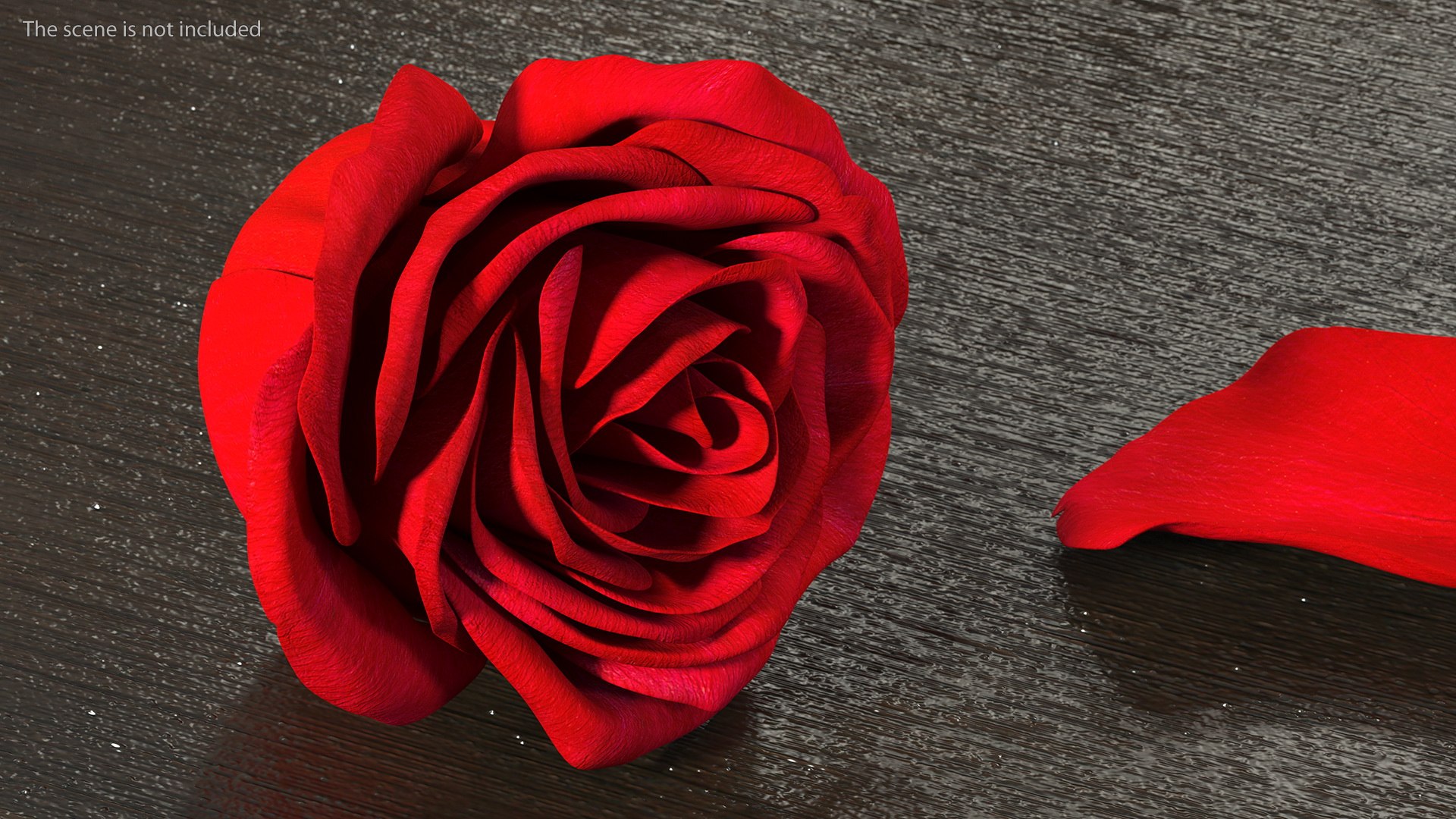 3D Rose Bud Red https://p.turbosquid.com/ts-thumb/0Z/4aef8W/GL/rosebudred3dmodel004/jpg/1644261397/1920x1080/fit_q87/6113a7f804ea33553e1fa5e4167ac4a683039995/rosebudred3dmodel004.jpg