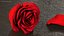 3D Rose Bud Red