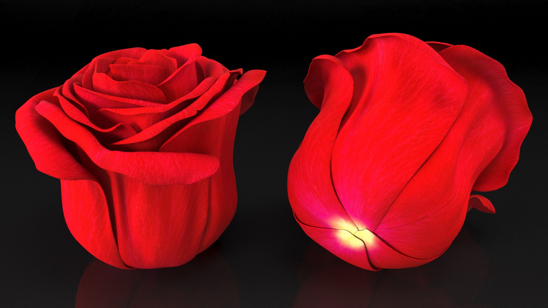 3D Rose Bud Red https://p.turbosquid.com/ts-thumb/0Z/4aef8W/HR/rosebudred3dmodel006/jpg/1644261403/1920x1080/fit_q87/2b3bb901d39fb31a5ba5b97cefacd253cf30501d/rosebudred3dmodel006.jpg