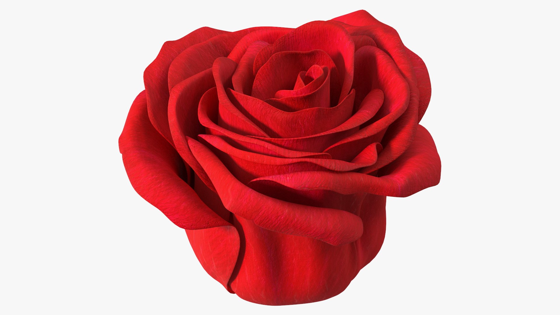 3D Rose Bud Red https://p.turbosquid.com/ts-thumb/0Z/4aef8W/QF/rosebudred3dmodel007/jpg/1644261406/1920x1080/fit_q87/0e520a1a303e397890e0e5b91d32976daf615af4/rosebudred3dmodel007.jpg