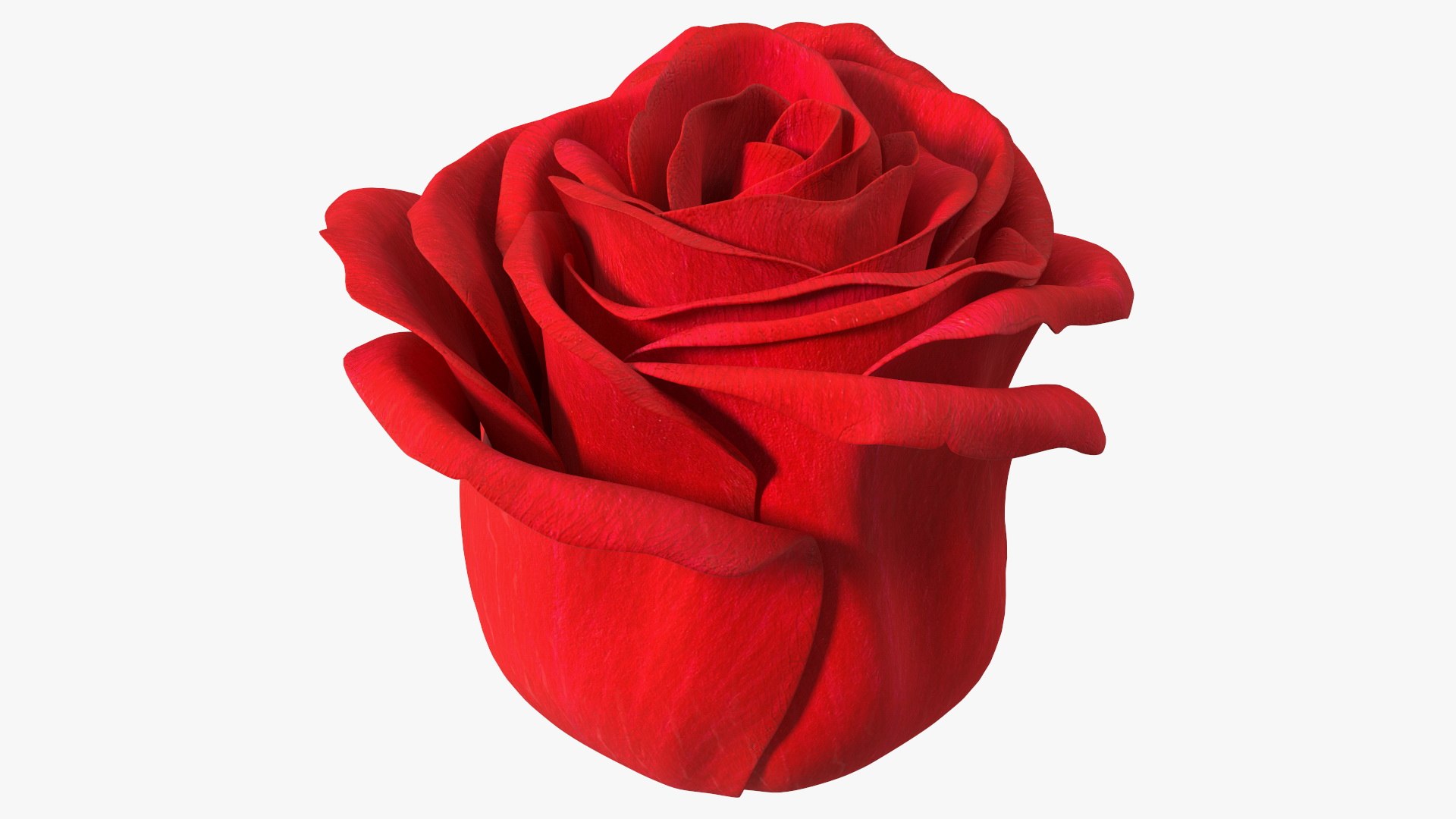 3D Rose Bud Red https://p.turbosquid.com/ts-thumb/0Z/4aef8W/UD/rosebudred3dmodel001/jpg/1644261389/1920x1080/fit_q87/25dbe53a89881dc2d160313fbb45b2221ea47a4b/rosebudred3dmodel001.jpg