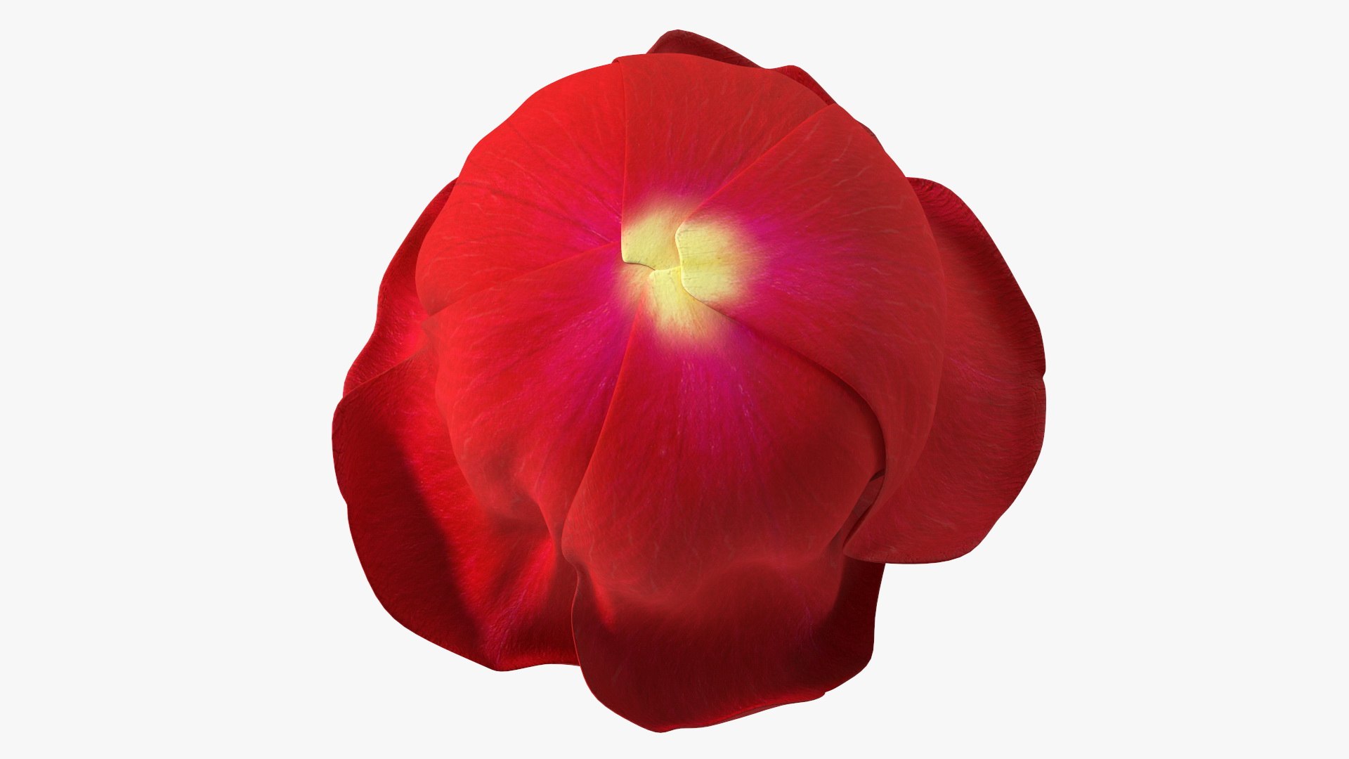 3D Rose Bud Red https://p.turbosquid.com/ts-thumb/0Z/4aef8W/fp/rosebudred3dmodel011/jpg/1644261415/1920x1080/fit_q87/2b9ce529c4609107c19ab9c80aa2d80b06337dad/rosebudred3dmodel011.jpg