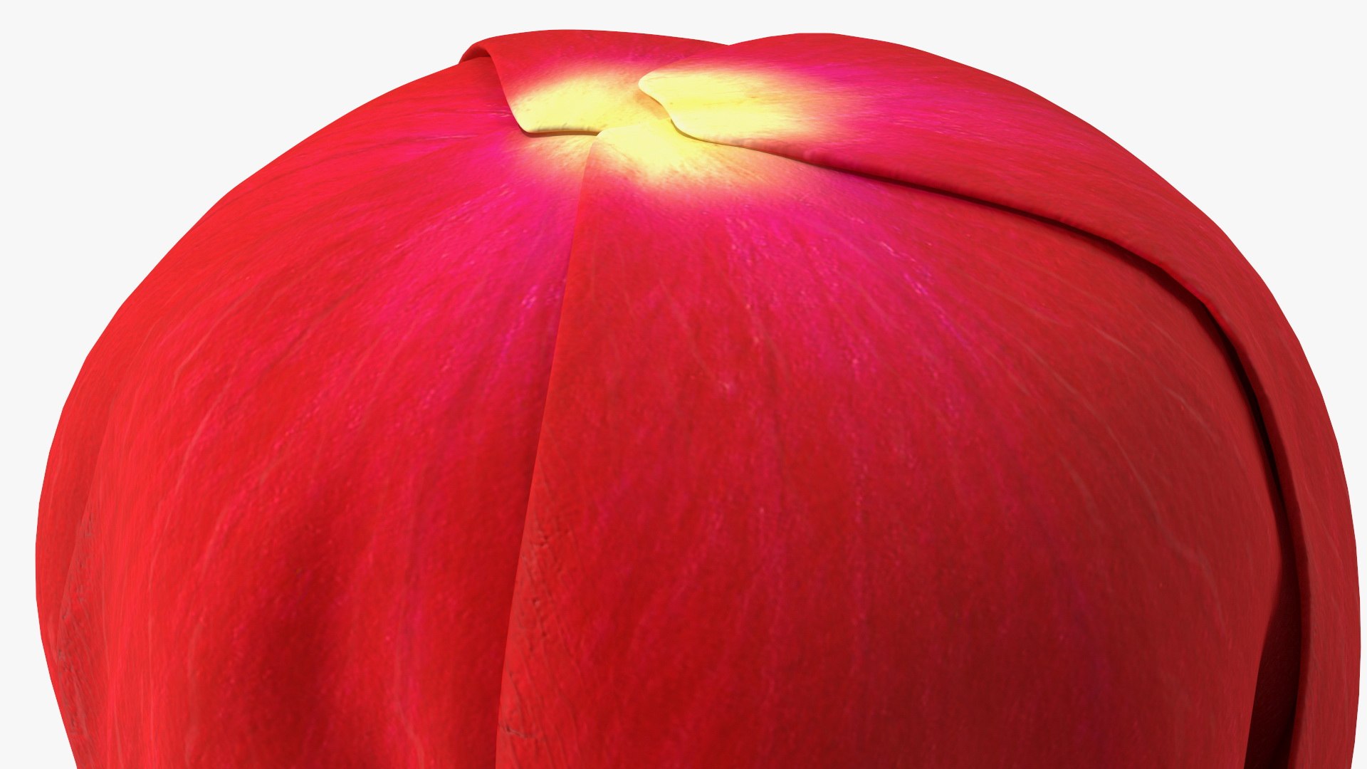 3D Rose Bud Red https://p.turbosquid.com/ts-thumb/0Z/4aef8W/mI/rosebudred3dmodel012/jpg/1644261418/1920x1080/fit_q87/e7b01e75615a4162ab5599df6482ce83e6701994/rosebudred3dmodel012.jpg