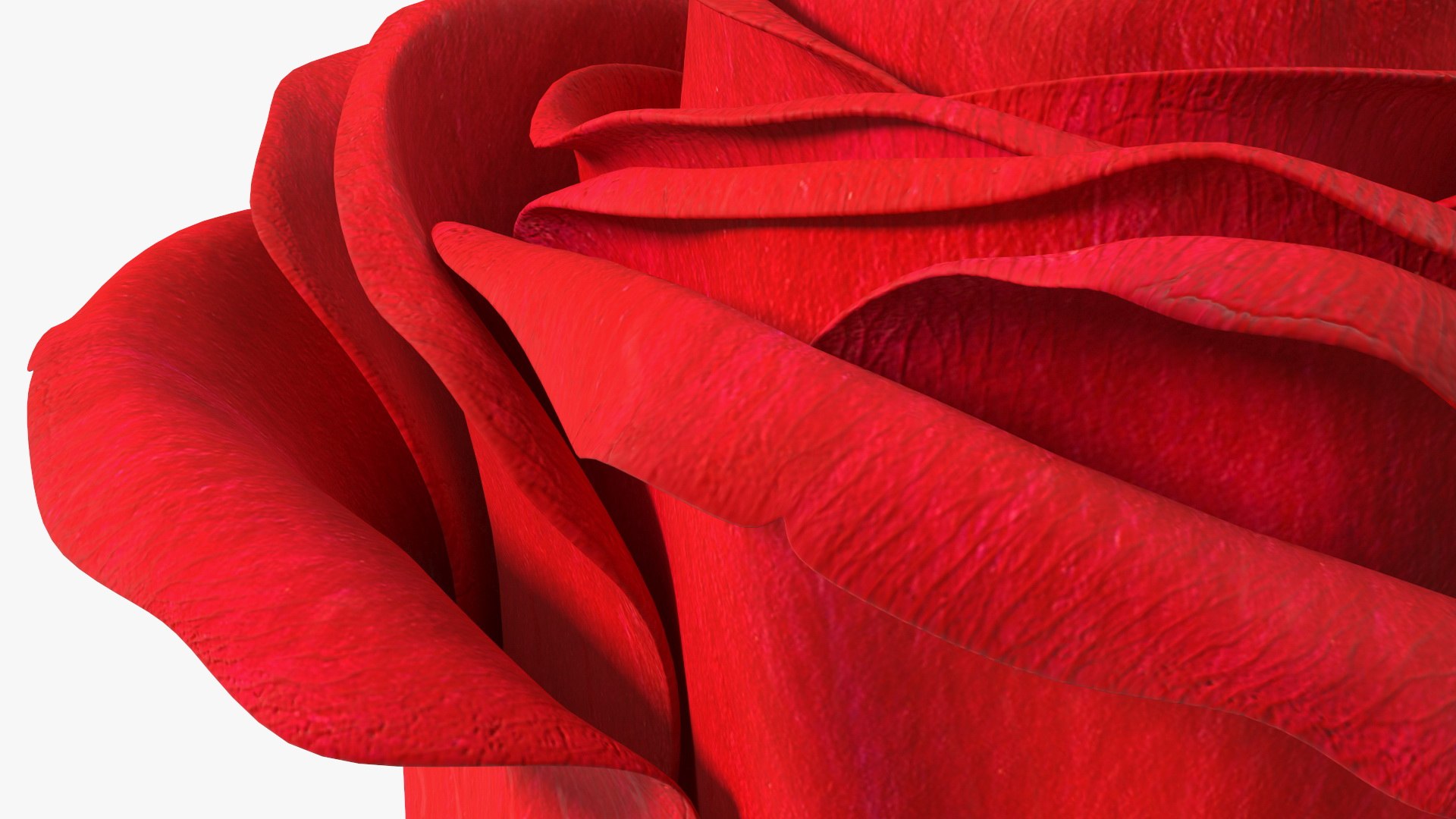3D Rose Bud Red https://p.turbosquid.com/ts-thumb/0Z/4aef8W/vo/rosebudred3dmodel014/jpg/1644261425/1920x1080/fit_q87/d0f7827603962ef50729a9b66d766cec71708c74/rosebudred3dmodel014.jpg