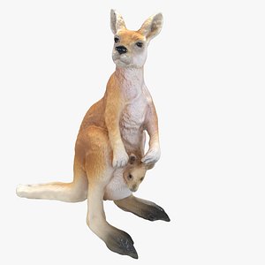 kangaroo max