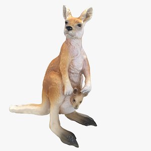Kangaroo