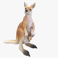 Kangaroo