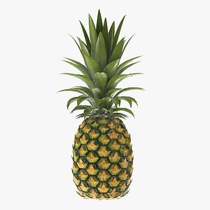 pineapple fruit food 3D model