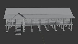 Traditional house