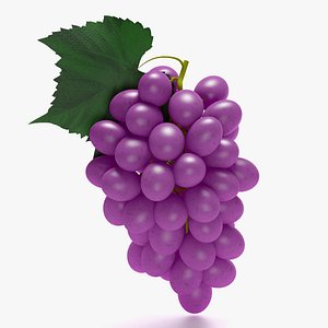 3d purple grapes model