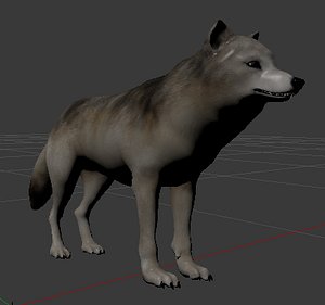 3D model realistic grey wolf