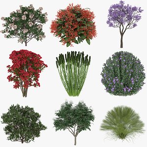 3D 9 Plants Collection