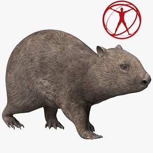 Wombat Poser 3D model