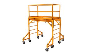 3D model Multi Purpose Scaffold