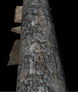 free wooden signs arrow 3d model