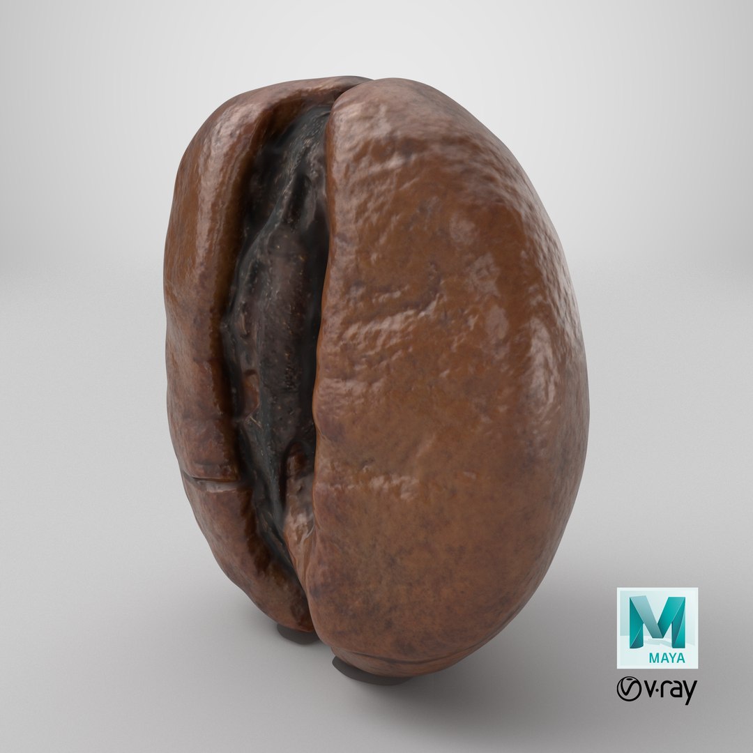 3D Coffee Bean 01 https://p.turbosquid.com/ts-thumb/0Z/uwyerW/7u/stemcell_maya_vray_render/png/1727891352/1920x1080/fit_q87/71631a25d308d6908883b7c267db5fbe04c104b6/stemcell_maya_vray_render.jpg
