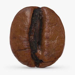 3D Coffee Bean 01