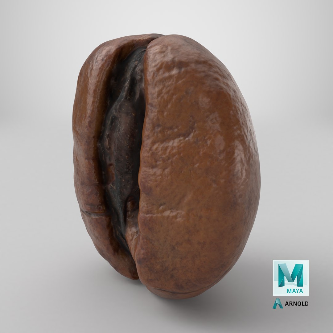 3D Coffee Bean 01 https://p.turbosquid.com/ts-thumb/0Z/uwyerW/nh/stemcell_maya_arnold_render/png/1727891350/1920x1080/fit_q87/b6909cd24a8a77ae077b2cf2924be128cf15f96b/stemcell_maya_arnold_render.jpg