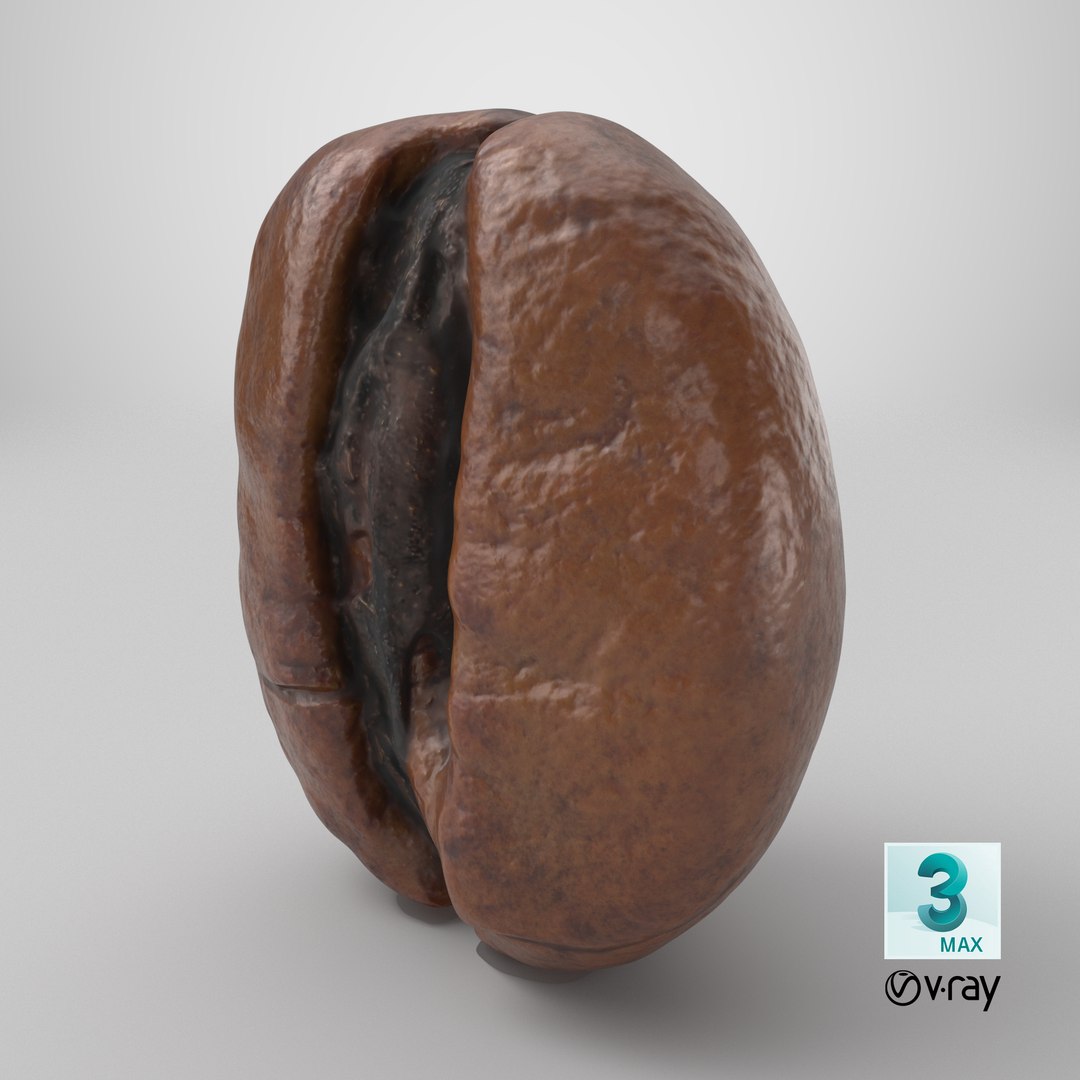 3D Coffee Bean 01 https://p.turbosquid.com/ts-thumb/0Z/uwyerW/yv/stemcell_max_vray_render/png/1727891358/1920x1080/fit_q87/0d4123228dc46a361235a2f84158303dc3bed8b7/stemcell_max_vray_render.jpg