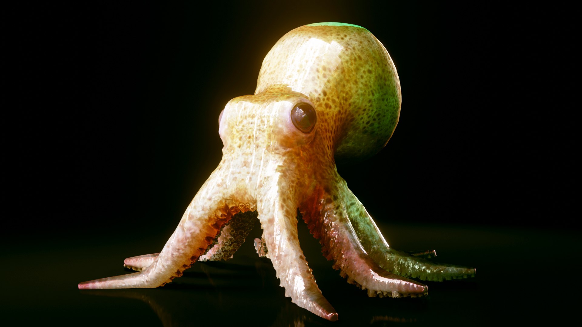 octopus squid animals 3D model https://p.turbosquid.com/ts-thumb/0Z/xAspLT/QM/preview01/jpg/1607617783/1920x1080/fit_q87/b7500753656f119cf52e95351181c875a1a7af1d/preview01.jpg