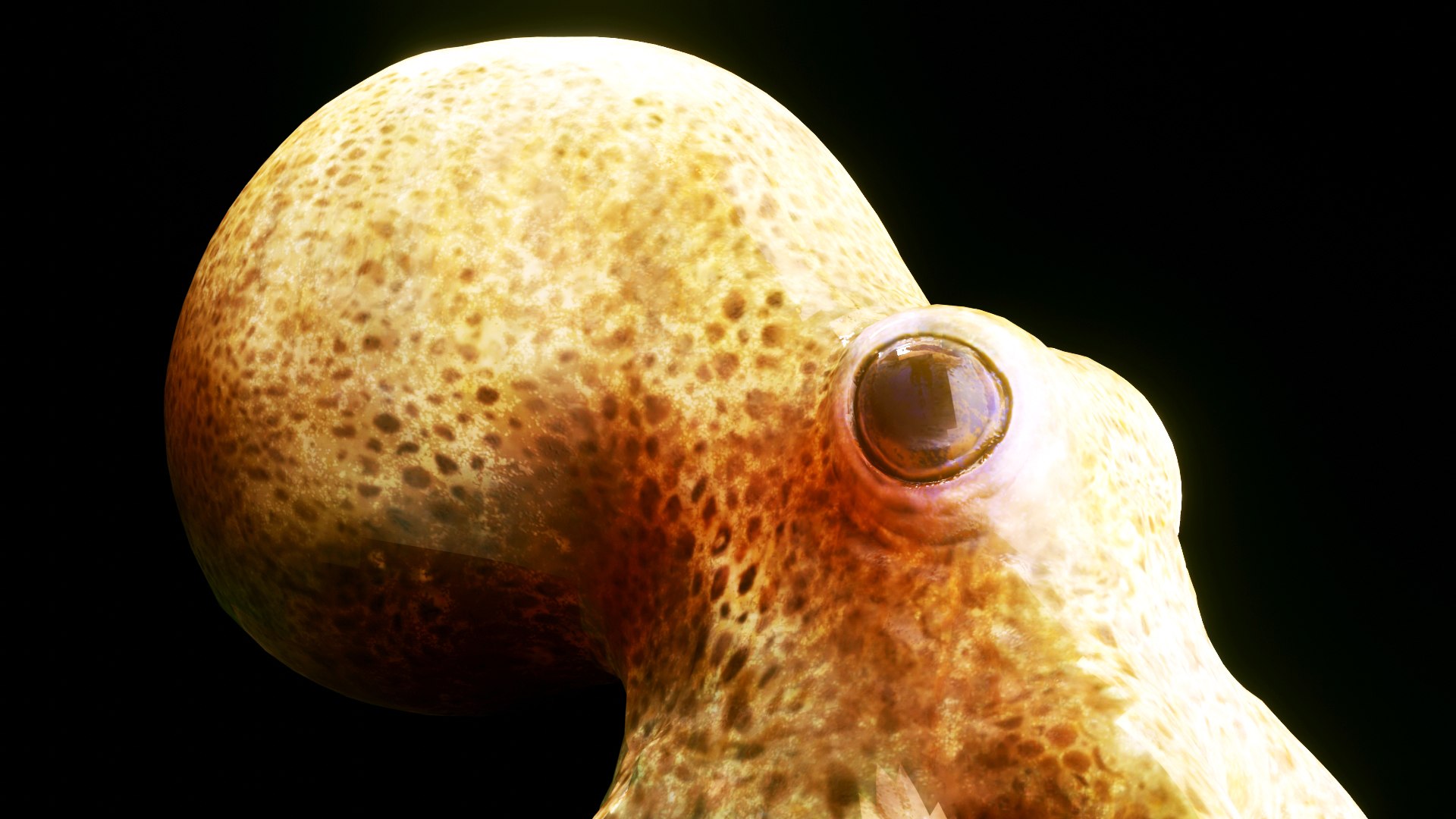 octopus squid animals 3D model https://p.turbosquid.com/ts-thumb/0Z/xAspLT/RQ/preview07/jpg/1607617781/1920x1080/fit_q87/1839d5a8747b9689de5c5906b6c5306ba862f76a/preview07.jpg