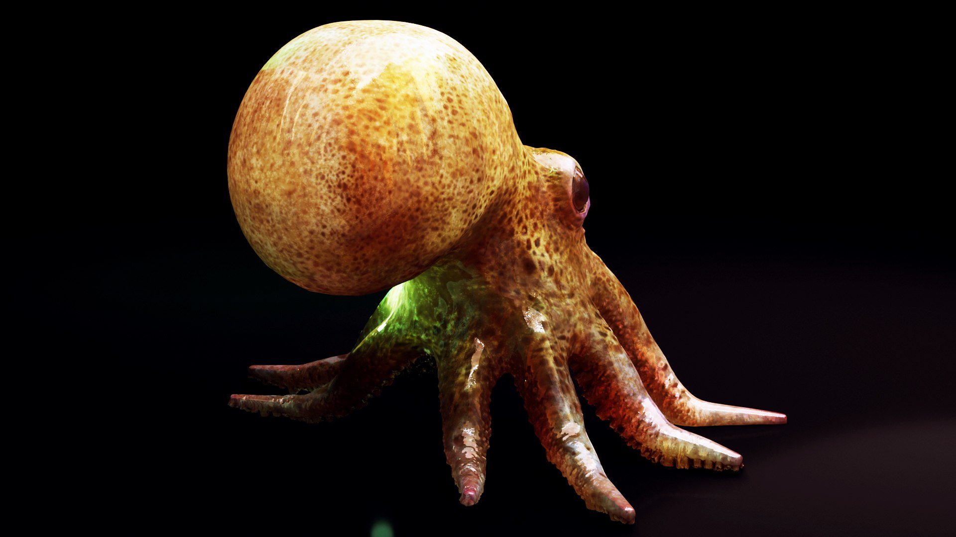 octopus squid animals 3D model https://p.turbosquid.com/ts-thumb/0Z/xAspLT/Ru/preview12/jpg/1607617785/1920x1080/fit_q87/5c7c1d41925bdc17f515d4a82b4f18d0520dda30/preview12.jpg