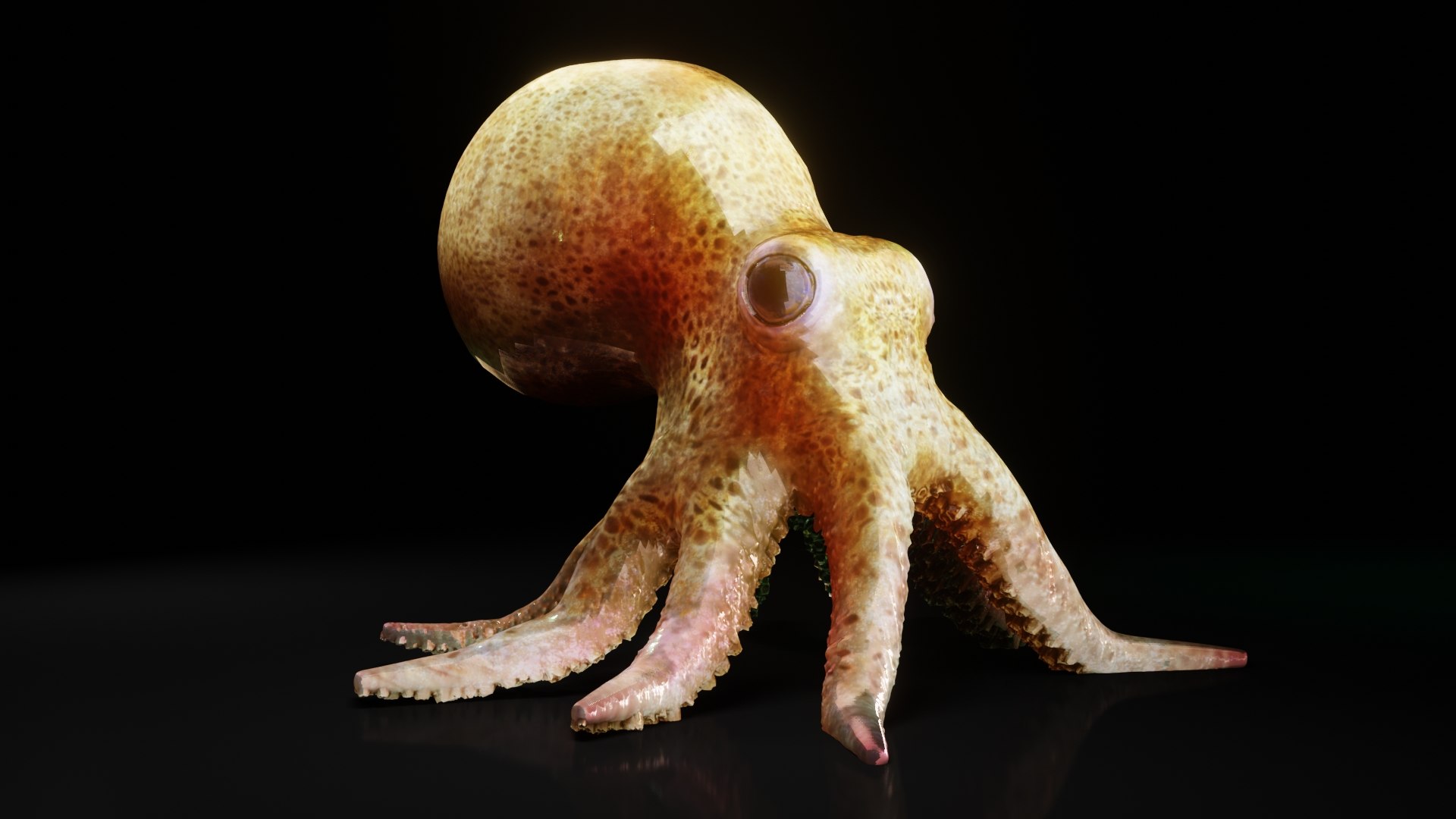 octopus squid animals 3D model https://p.turbosquid.com/ts-thumb/0Z/xAspLT/Sv/preview03/jpg/1607617783/1920x1080/fit_q87/71c5ed1f8662fca0916ebe14b9902921c352effc/preview03.jpg