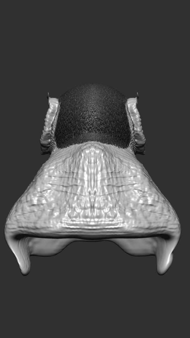 Bust Man Mutant Obj Free