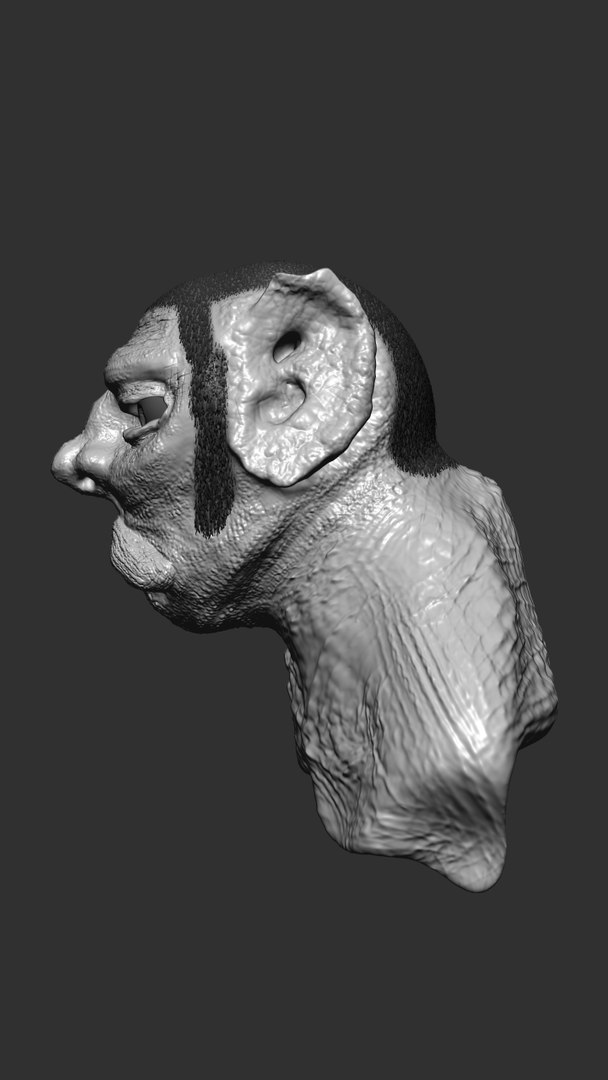 Bust Man Mutant Obj Free