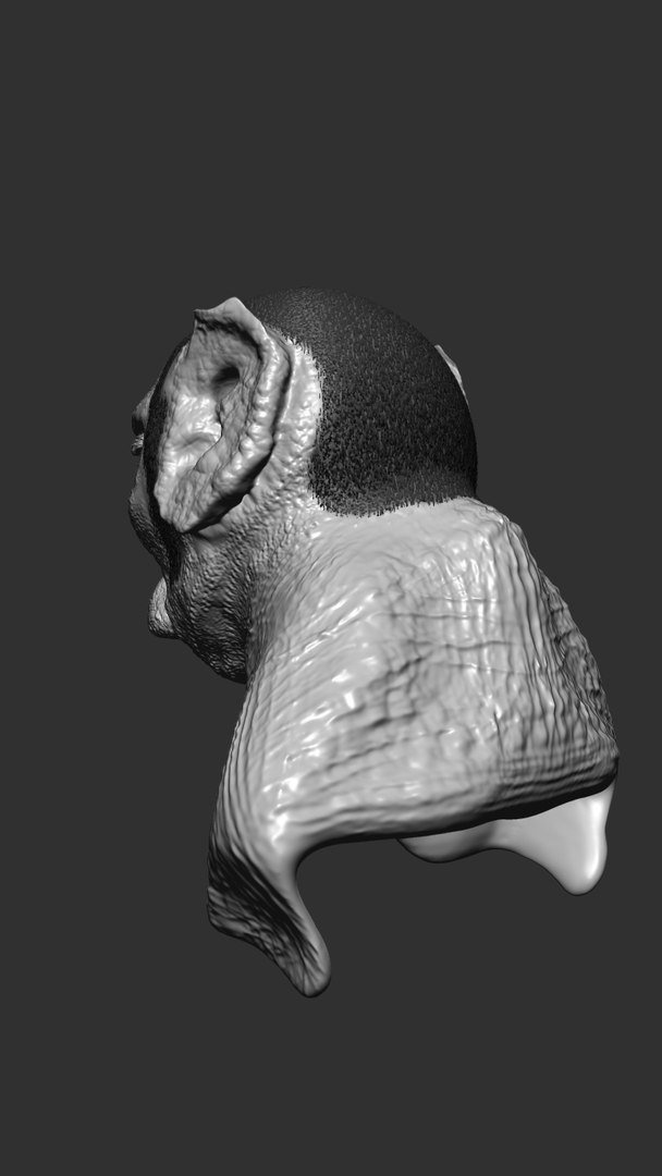 Bust Man Mutant Obj Free