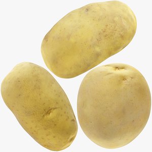 Potatoes Collection V1 3D