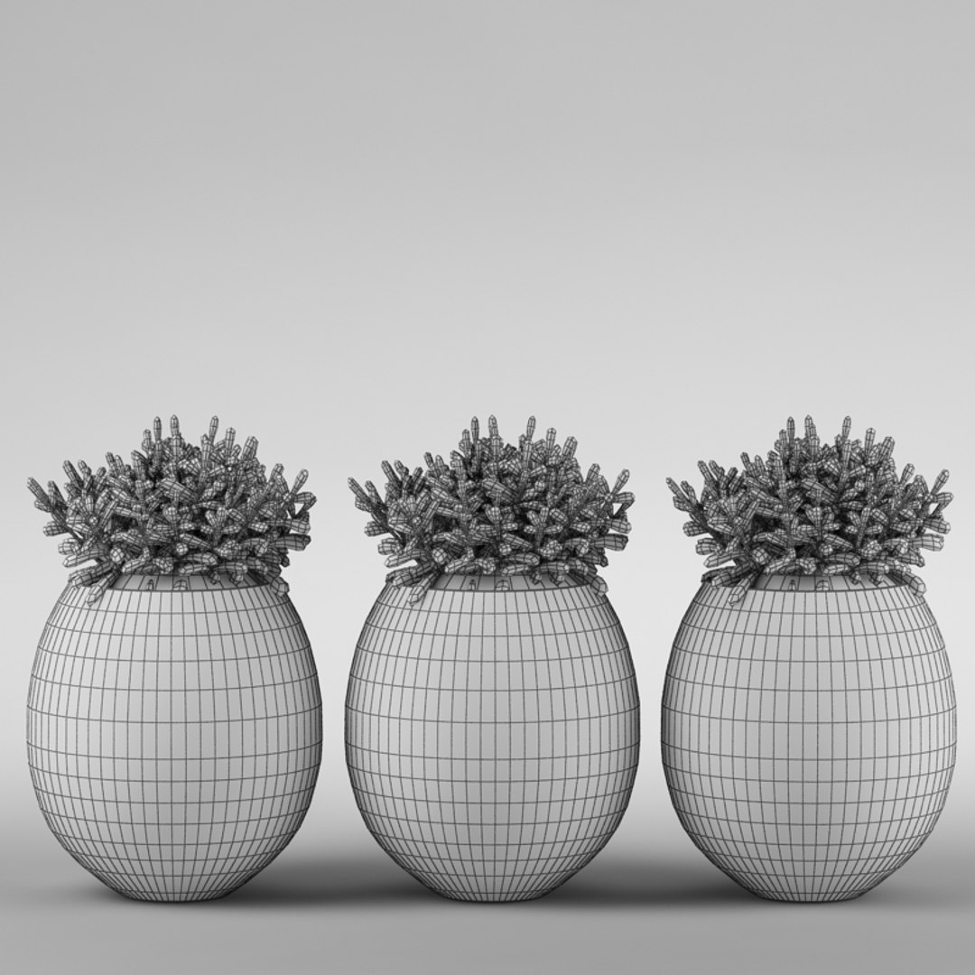 Max Plant Flowerpot Realistic