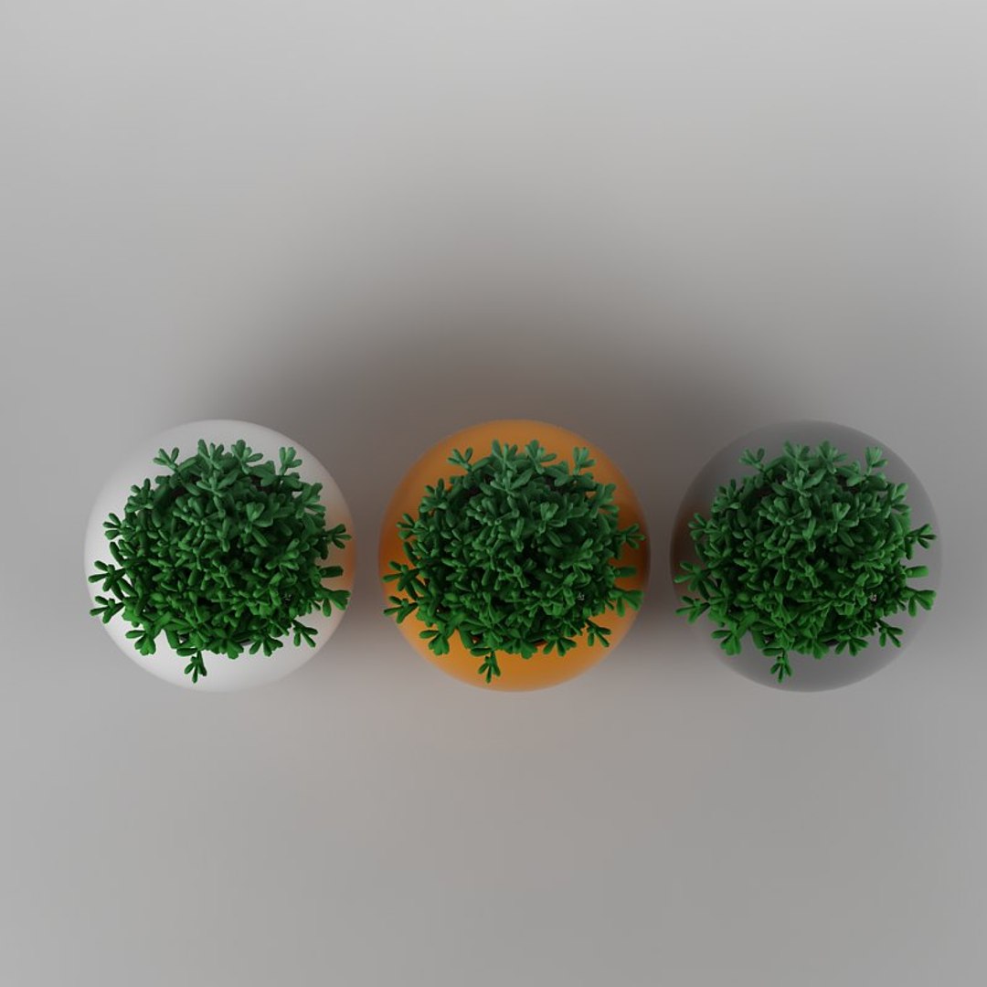 Max Plant Flowerpot Realistic