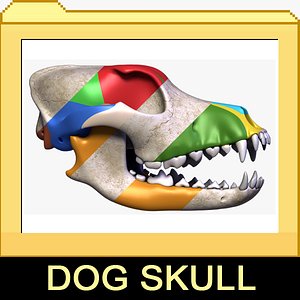 3d 3ds dog skull 1 2