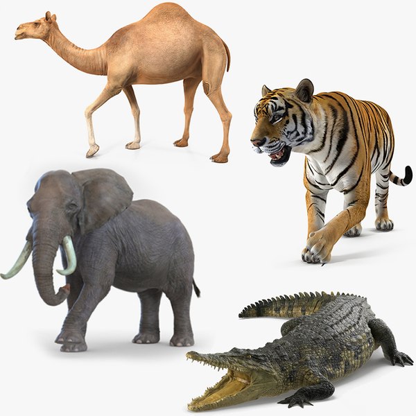 african animals rigged model