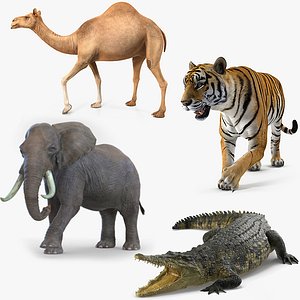 African Animals Rigged Collection for Maya