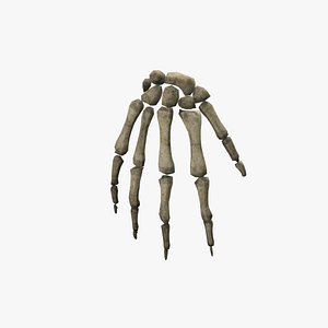 3D Medieval Skeleton Hand