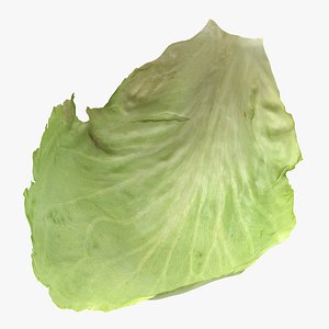 Lettuce Leaf 05 3D model