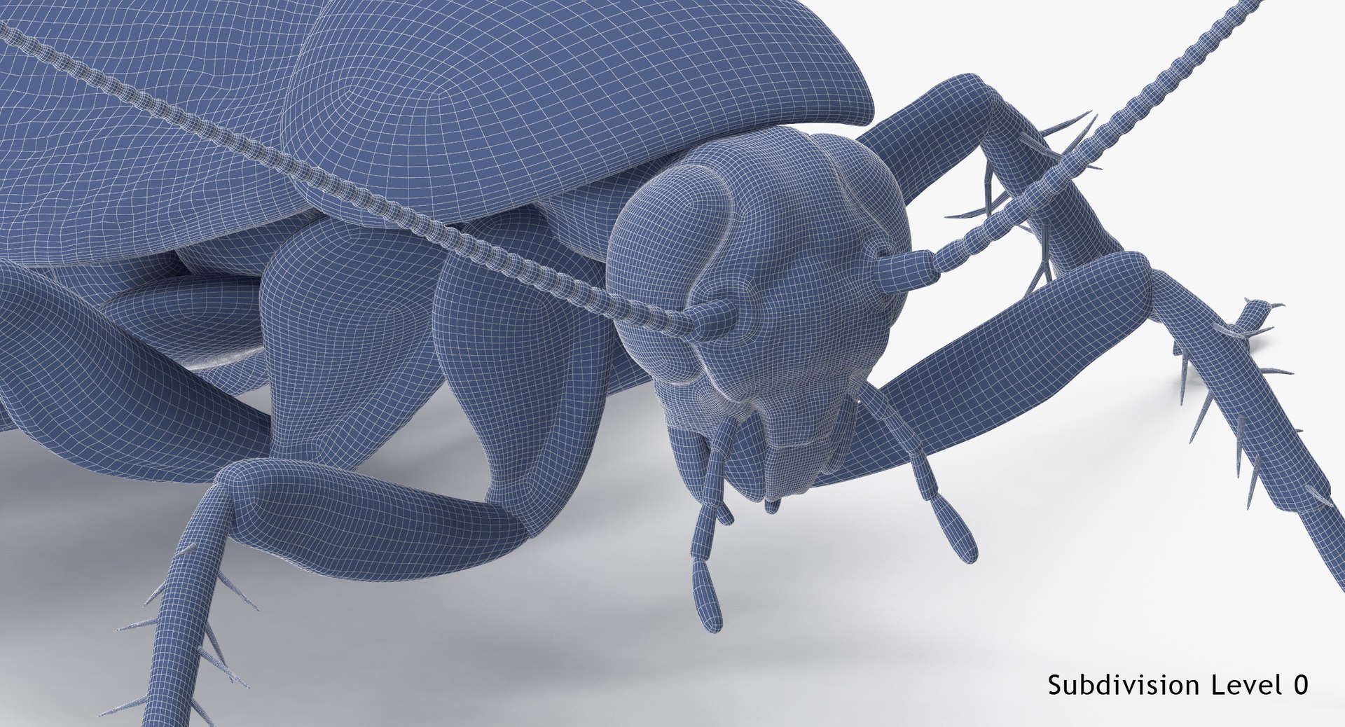 max cockroach 03